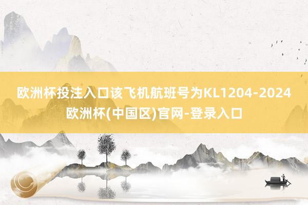 欧洲杯投注入口该飞机航班号为KL1204-2024欧洲杯(中国区)官网-登录入口