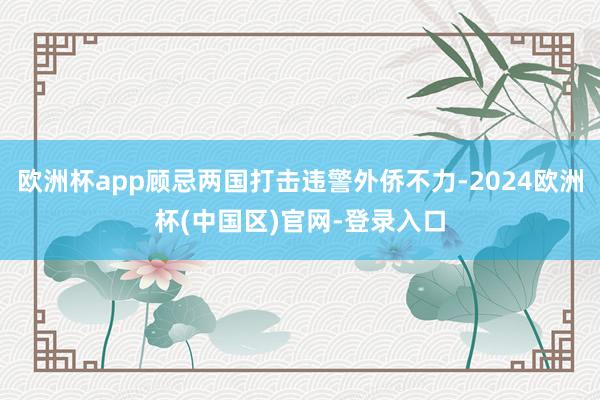 欧洲杯app顾忌两国打击违警外侨不力-2024欧洲杯(中国区)官网-登录入口
