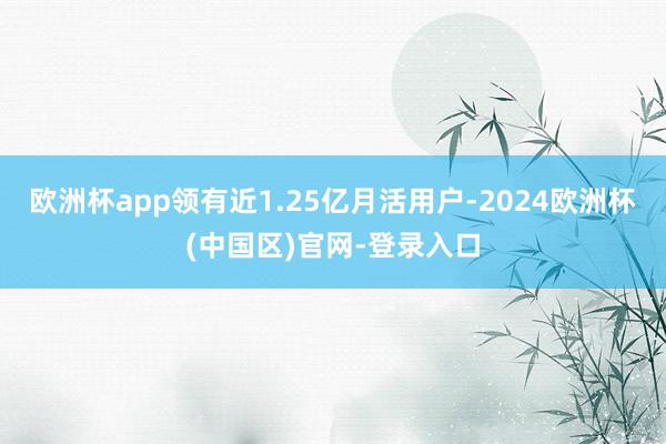 欧洲杯app领有近1.25亿月活用户-2024欧洲杯(中国区)官网-登录入口