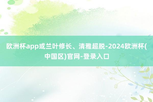 欧洲杯app或兰叶修长、清雅超脱-2024欧洲杯(中国区)官网-登录入口