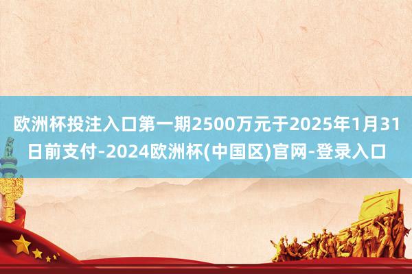 欧洲杯投注入口第一期2500万元于2025年1月31日前支付-2024欧洲杯(中国区)官网-登录入口