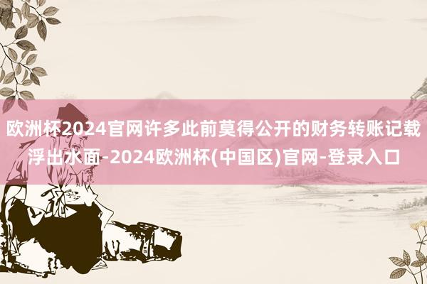 欧洲杯2024官网许多此前莫得公开的财务转账记载浮出水面-2024欧洲杯(中国区)官网-登录入口