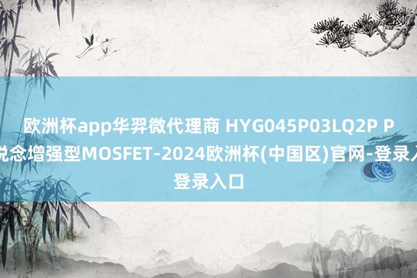 欧洲杯app华羿微代理商 HYG045P03LQ2P P沟说念增强型MOSFET-2024欧洲杯(中国区)官网-登录入口