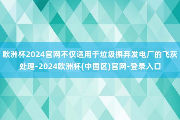 欧洲杯2024官网不仅适用于垃圾摒弃发电厂的飞灰处理-2024欧洲杯(中国区)官网-登录入口