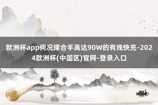 欧洲杯app何况撑合手高达90W的有线快充-2024欧洲杯(中国区)官网-登录入口