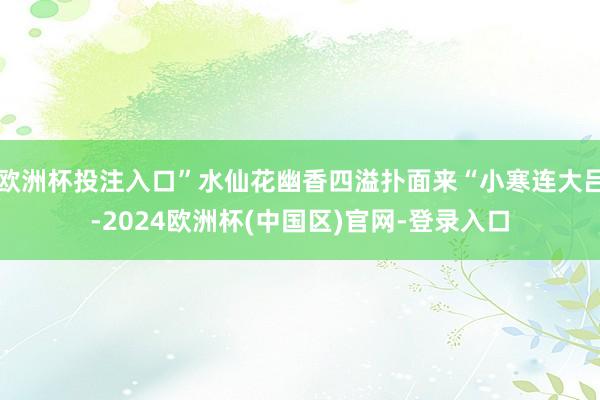 欧洲杯投注入口”水仙花幽香四溢扑面来“小寒连大吕-2024欧洲杯(中国区)官网-登录入口