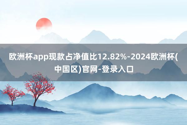 欧洲杯app现款占净值比12.82%-2024欧洲杯(中国区)官网-登录入口