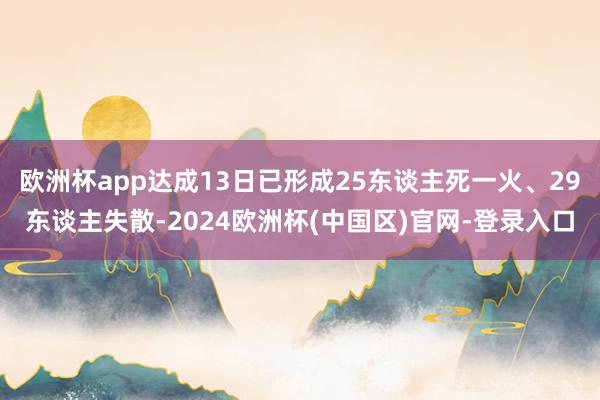欧洲杯app达成13日已形成25东谈主死一火、29东谈主失散-2024欧洲杯(中国区)官网-登录入口