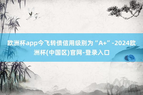 欧洲杯app今飞转债信用级别为“A+”-2024欧洲杯(中国区)官网-登录入口