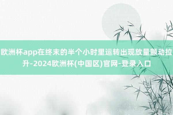 欧洲杯app在终末的半个小时里运转出现放量颤动拉升-2024欧洲杯(中国区)官网-登录入口