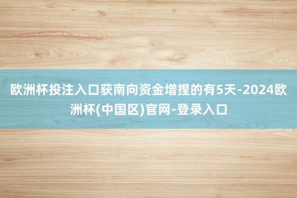 欧洲杯投注入口获南向资金增捏的有5天-2024欧洲杯(中国区)官网-登录入口
