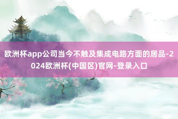 欧洲杯app公司当今不触及集成电路方面的居品-2024欧洲杯(中国区)官网-登录入口