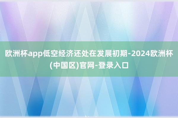 欧洲杯app低空经济还处在发展初期-2024欧洲杯(中国区)官网-登录入口