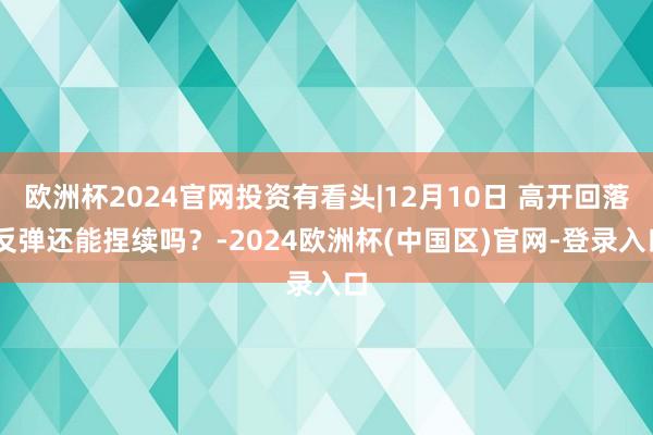 欧洲杯2024官网投资有看头|12月10日 高开回落 反弹还能捏续吗？-2024欧洲杯(中国区)官网-登录入口