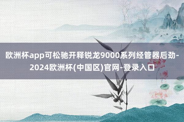 欧洲杯app可松驰开释锐龙9000系列经管器后劲-2024欧洲杯(中国区)官网-登录入口