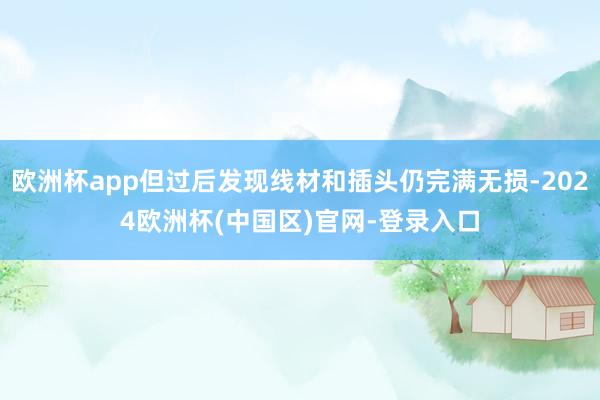 欧洲杯app但过后发现线材和插头仍完满无损-2024欧洲杯(中国区)官网-登录入口