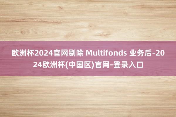 欧洲杯2024官网剔除 Multifonds 业务后-2024欧洲杯(中国区)官网-登录入口