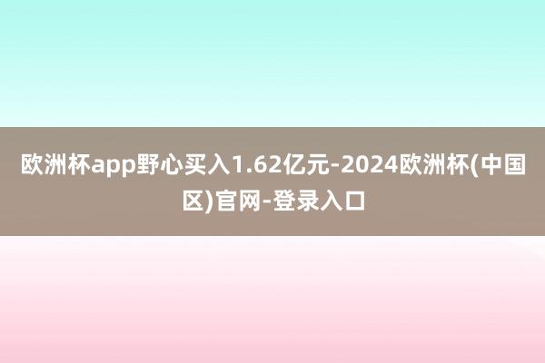 欧洲杯app野心买入1.62亿元-2024欧洲杯(中国区)官网-登录入口