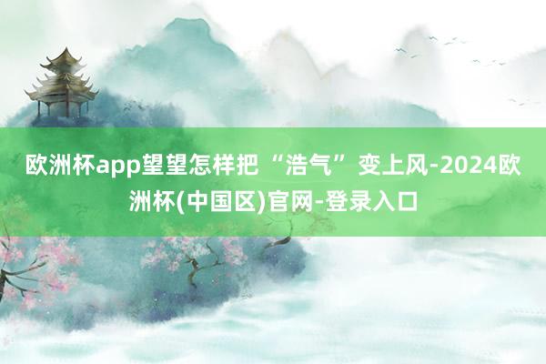 欧洲杯app望望怎样把 “浩气” 变上风-2024欧洲杯(中国区)官网-登录入口