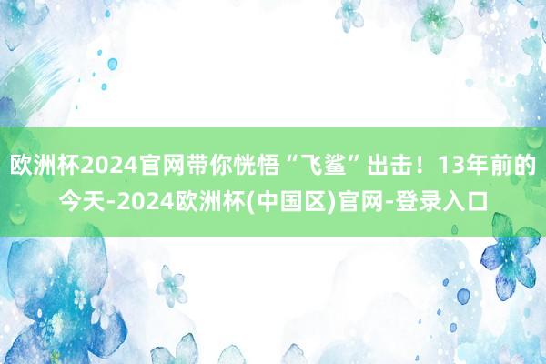 欧洲杯2024官网带你恍悟“飞鲨”出击！13年前的今天-2024欧洲杯(中国区)官网-登录入口